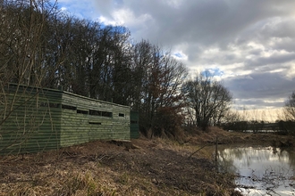 Kingfisher screen Pitsford by Dave Jackson