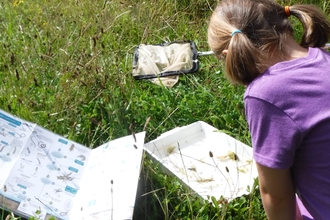 Pond dipping on Cambourne Nature Reserve by Rebecca Neal