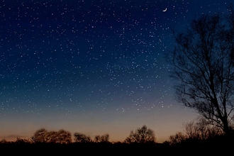 Stars in a dark blue sky with trees silouetted