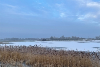 Frozen lake and reedbed at Summer Leys