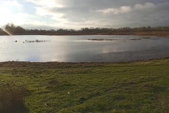 The scrape at Summer Leys