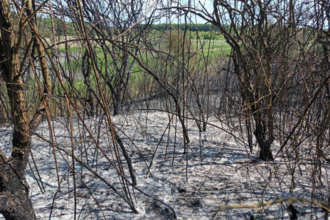 Fire damage Dogsthorpe Star Pit  Eamonn Lawler