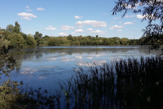 Nene Wetlands WTBCN