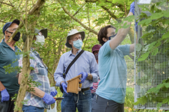 Volunteers help fix up new dormouse cages, Brampton Wood by Alistair Grant