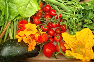 Vegetables from community garden