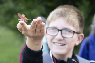 A boy with a smiling blurred face as he holds aloft an elephant hawkmoth on one finger