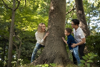 Adults and child playing by a tree from Freepik.com