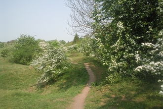 Barnack Hills and Hollows 