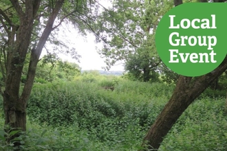 Woodland area of Mowsbury Hillfort, with "Local Group Event" icon overlaid