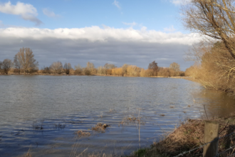 Waterlogged Trumpington Meadows, Cambs by Becky Green
