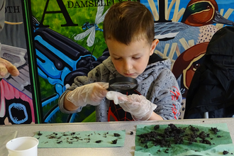 Young boy wearing plastic gloves and holding a magnifying glass looks at bones extracted from an owl pellet. The pieces are spread on green paper towels on a table.
