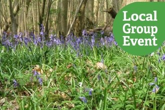 Bluebells at Warelsey Wood with "Local Group Event" icon overlaid