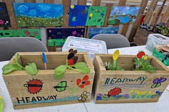 2 wooden planters