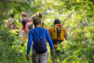 Adults walking through a woodland