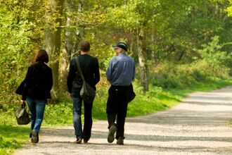 3 people dressed in corporate clothing walking on a pathway through woodland