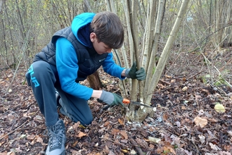 Youth Ranger coppicing in Hardwick Wood