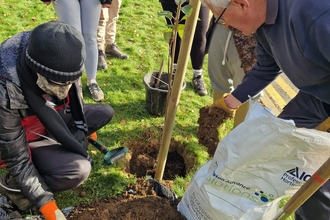 Group of people planting a tree