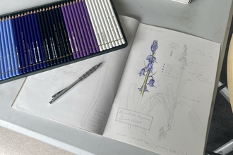Sketchbook with drawing of bluebells and pencils