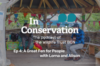 In Conservation title - with a picture of two men in an outdoor wooden pavilion bedecked in bunting, one playing a guitar