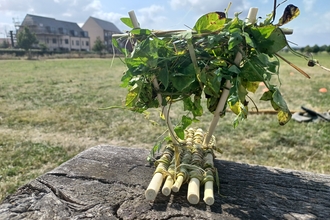 a mini-raft on a table at Trumpington Meadows by Rebecca Neal