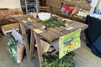 Bird Feeder Table at Ramsey Heights