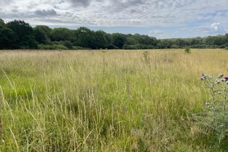 Castor Hanglands NNR