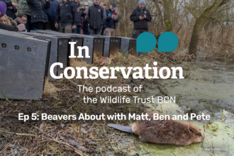 Title card for the podcast In Conservation