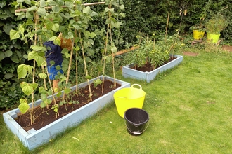 garden club toms