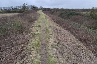 Fleam dyke