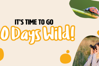 30 days wild graphic