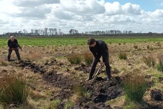 Young man digs in peat soil as staff member uses pickaxe on ground