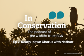 A silhouetted bird against a dawn sky singing, with the title of In Conservation episode 7