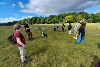 youth rangers at pegsdon