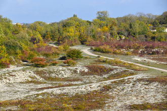 Cherry Hinton Nature Reserve