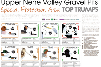 Preview of the SPA Top Trumps illustrations