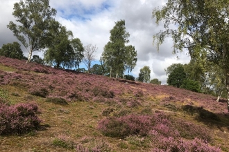 Coopers Hill