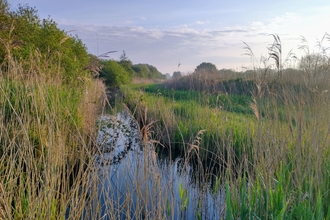 Sun rising over Woodwalton Fen