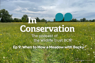 Ep 9: When to Mow a Meadow with Becky