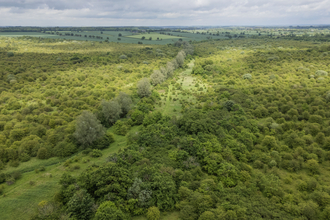 Drone image of Strawberry Hill