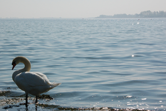 Grafham Water