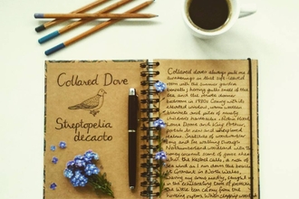 a ring bound journal made of natural brown paper, a collared dove illustrated in ink on the left hand page and text on the right hand page. Forget me notes, colouring pencils and a mug of black coffee around