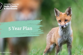Five year plan video still