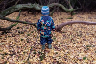 Little Bugs child with stick surrounded by autumn leaves by Rebecca Neal