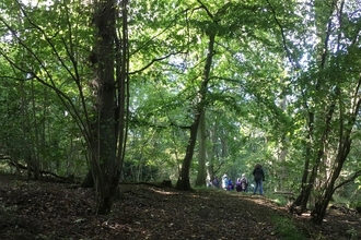 Kingswood