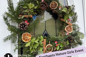 christmas wreath on door