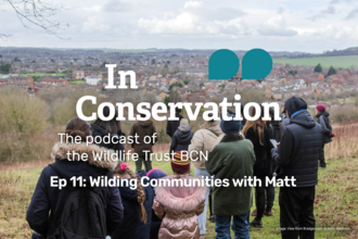 A group of people of mixed ages look out over Luton from a nature reserve atop a hill