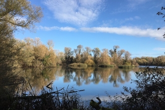Nene Wetlands