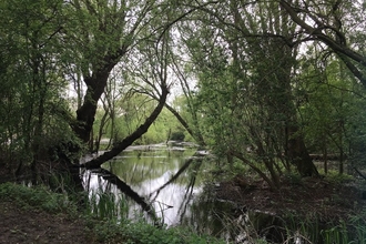 Priory Country Park