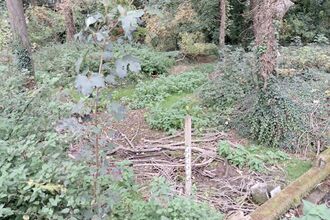 Wilbraham spring dry