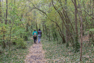 Two women walk along a path under trees, talking